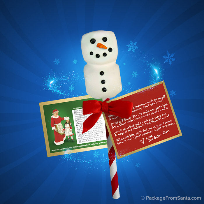 Marshmallow Snowman Pop w/ Story Card