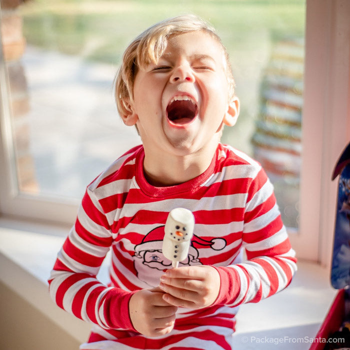 Marshmallow Snowman Pop w/ Story Card