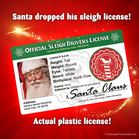 Santa Evidence Kit-Package From Santa®