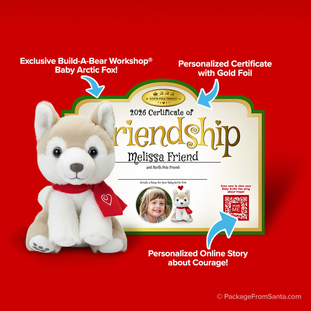 Baby Arctic Fox Plush w/ Certificate of Friendship* from Build-A-Bear® and Package From Santa®