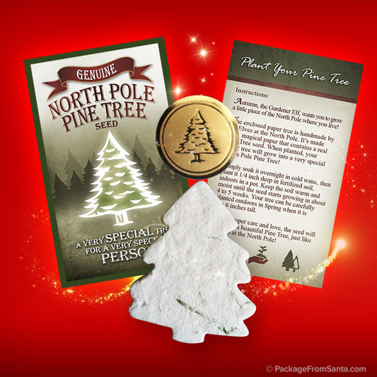 Genuine North Pole Pine Tree Seed-Package From Santa®