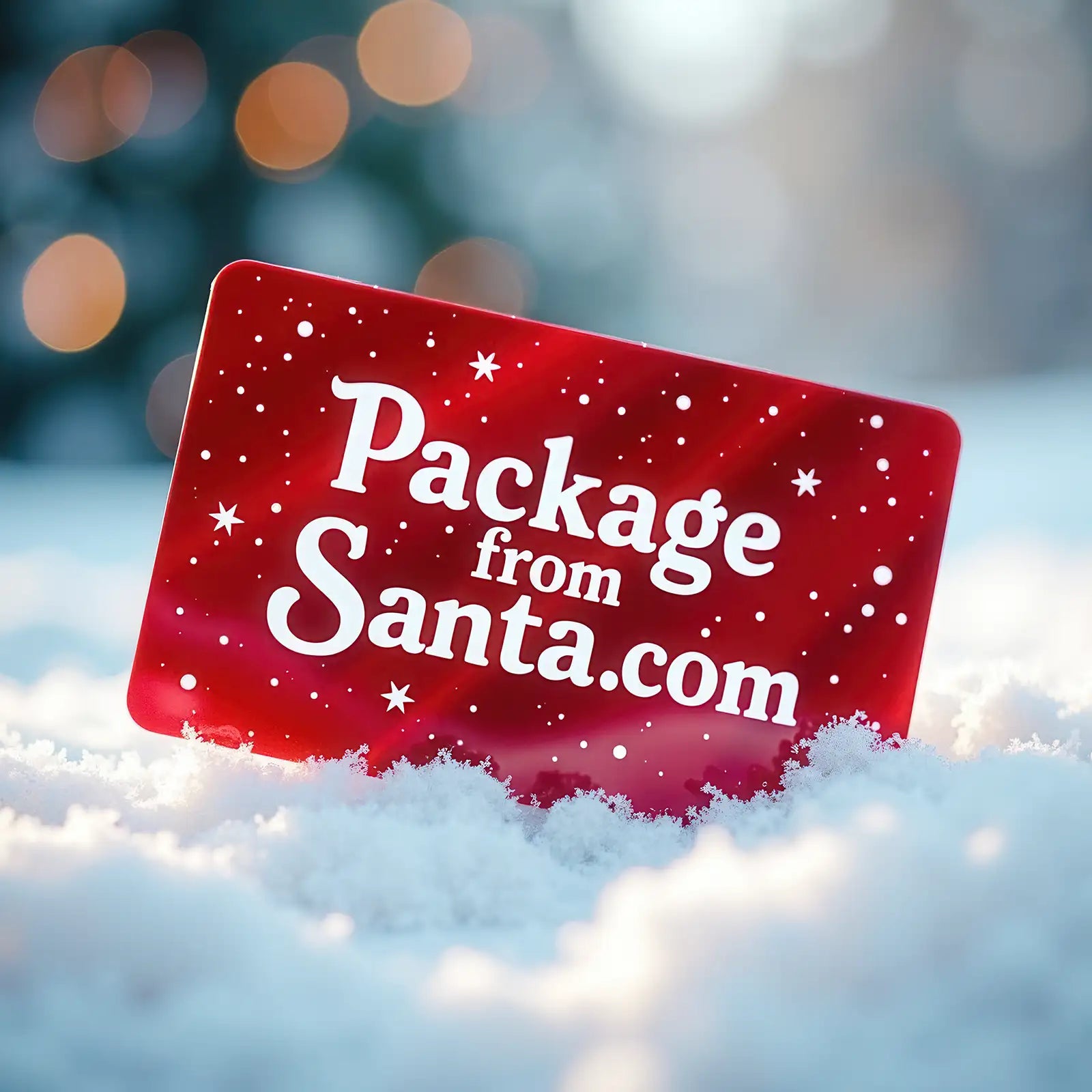 Package From Santa® Digital Card Gift