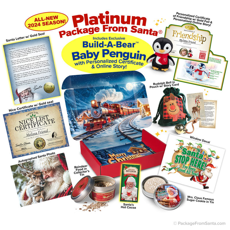 PLATINUM Package From Santa w/ Bonus Gifts (INF)