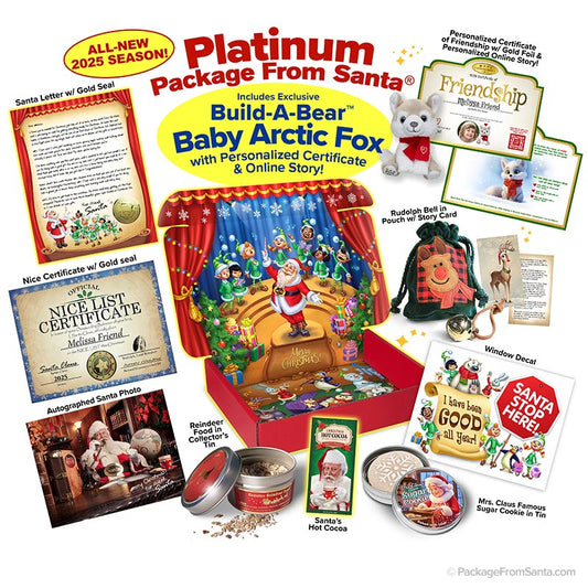 PLATINUM Package From Santa w/ Bonus Gifts - 2025-Package From Santa®