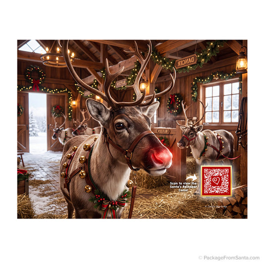 2026 Rudolph Photo with QR Code and Online Santa North Pole Cams-Package From Santa®