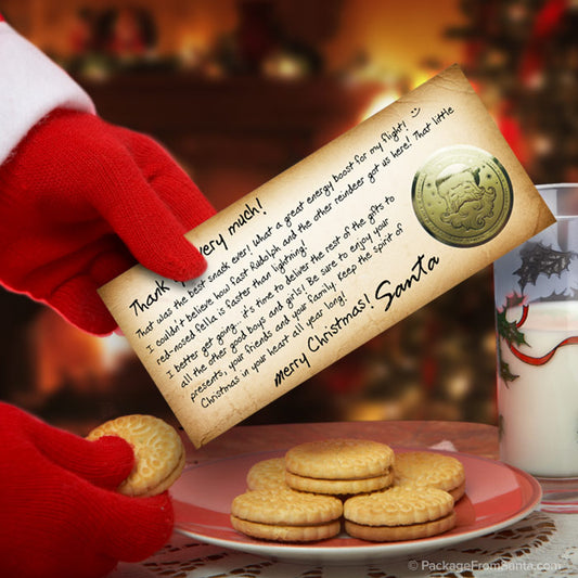 Santa Thank You Note w/ Gold Santa Seal-Package From Santa®