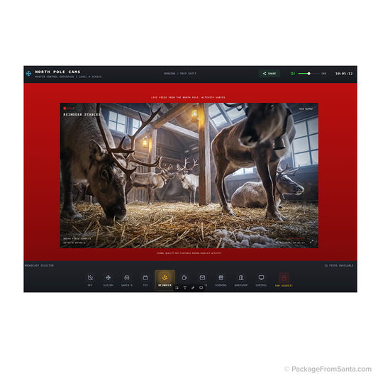 Santa's North Pole Cams - Online-Package From Santa®