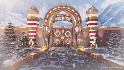 BONUS! Personalized Santa Video
